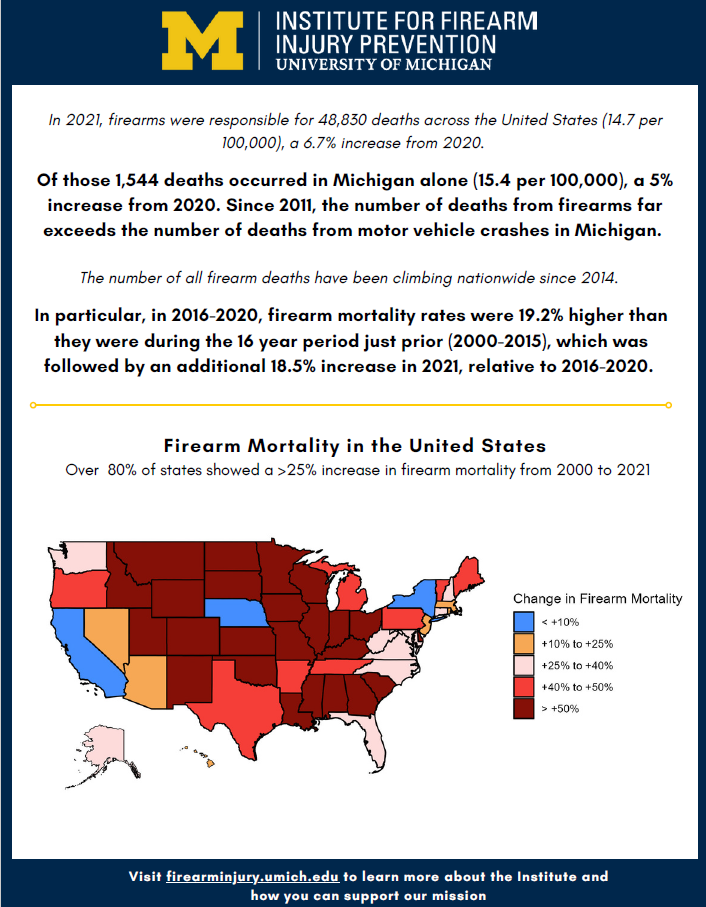 Firearm Deaths in Michigan - Image